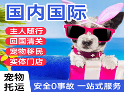 三沙永兴航空快递国际宠物托运 【国